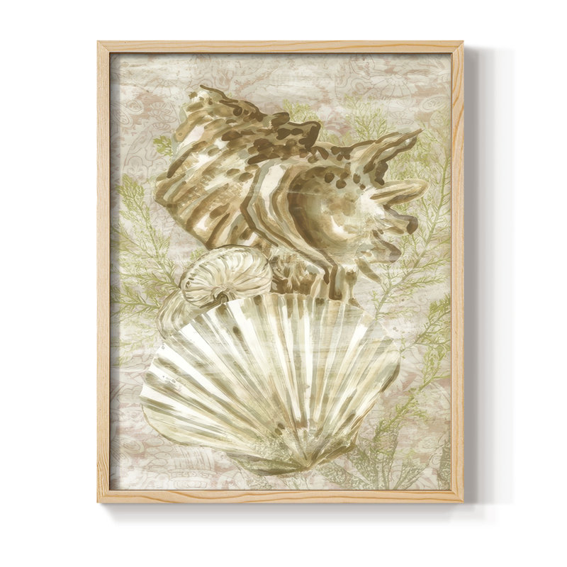 «Antique Peach Shell Collage II», reproduction encadrée - bois massif, Naturel, H 11 po x l 9 po