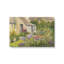 Jardin doré-706484244-706484250-706484246