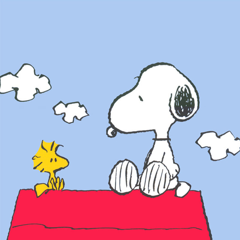 Cacahuètes (Snoopy et Woodstock)