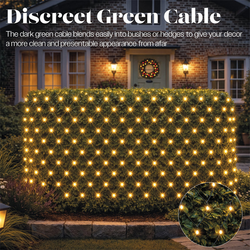 Holiday Lighting