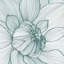 «Myrrhis Odorata I», impression sur toile-21493813-71996415-71996417
