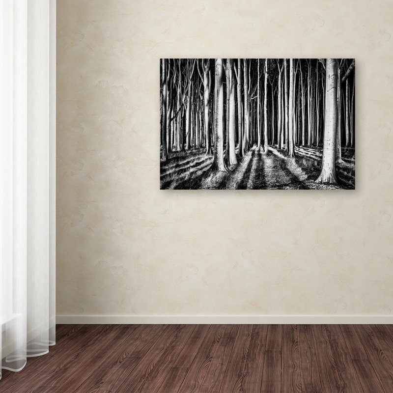 «Ghost Forest», reproduction d'impression sur toile tendue, H 30 po x l 47 po x P 2 po, Toile tendue