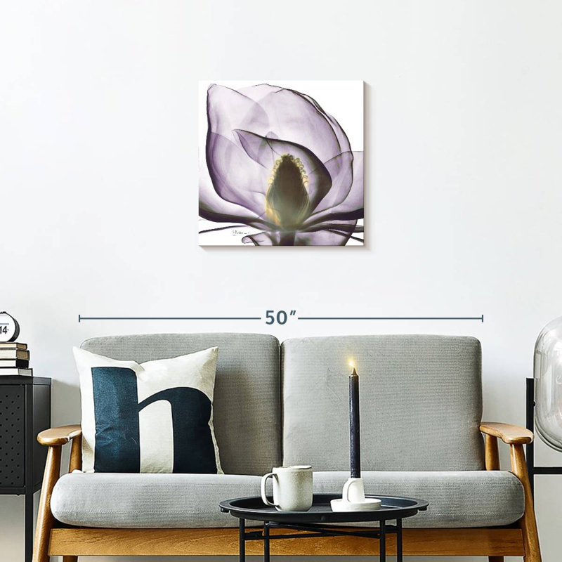 Harnek Magnolia X-ray