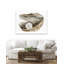 Oyster 4-1731264107-1731264109