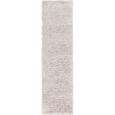 Indoor Rug