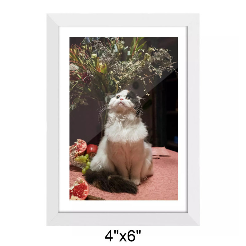 Cadre photo en bois massif Hillmont, 4 po x 6 po