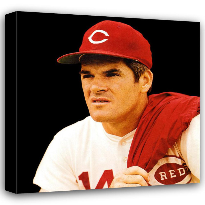 Latitude Run® Pete Rose | Wayfair