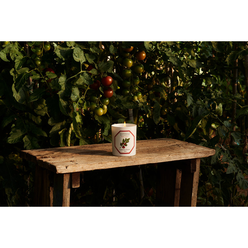 Tomato Candle