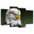 Brampt Bald Eagle Stare