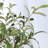 6'' Faux Olive Tree Tree in Pot