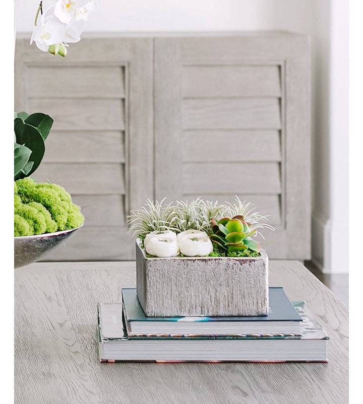 Arrangement floral de fleurs de chou géométriques en pot, Crème