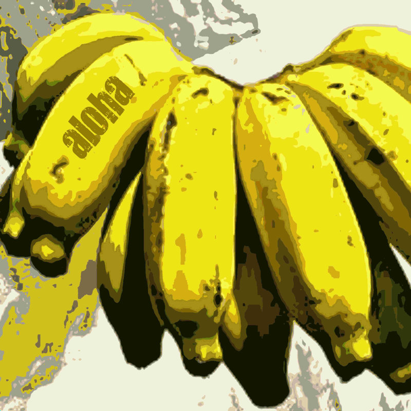 Banane chanceuse - Peinture, H 36 po x l 36 po, Non, Cadre flottant noir
