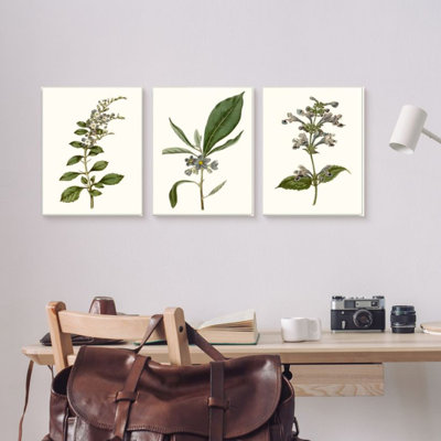 «Minimal Blue Botanical Study over Neutral Beige» par Curtis - ensemble de 3 impressions