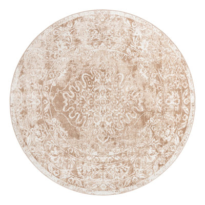 Oriental Indoor Rug
