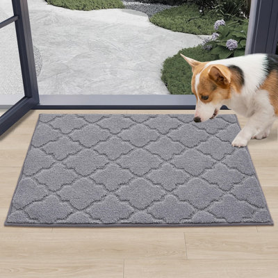 Aleman Non-Slip Doormat