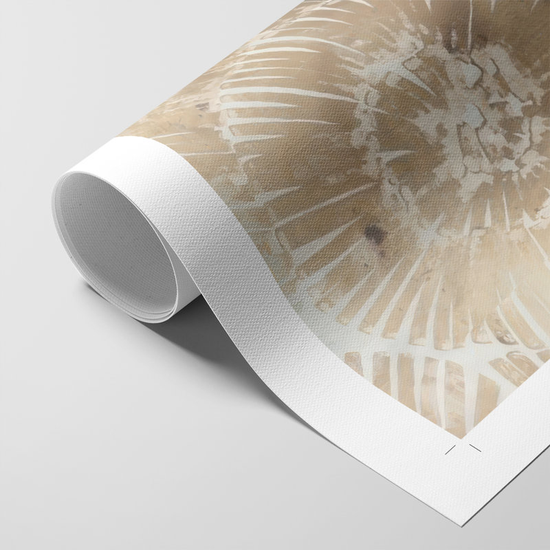 Fossil Nautilus I - Impression sur toile seulement - NON CADRE, H 27 po x l 18 po