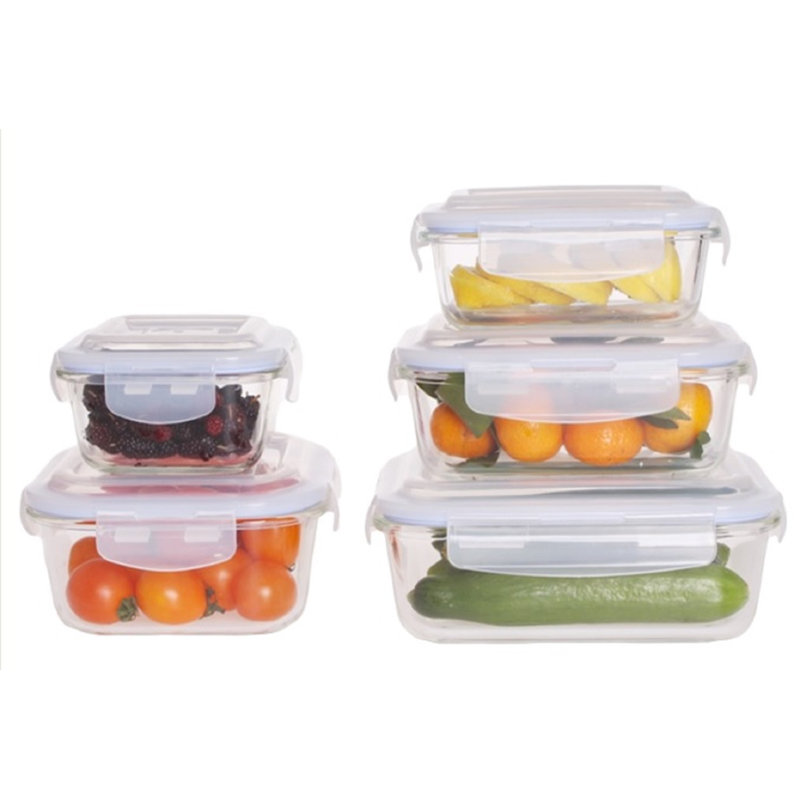 Ensemble de 5 contenants alimentaires Bacilia