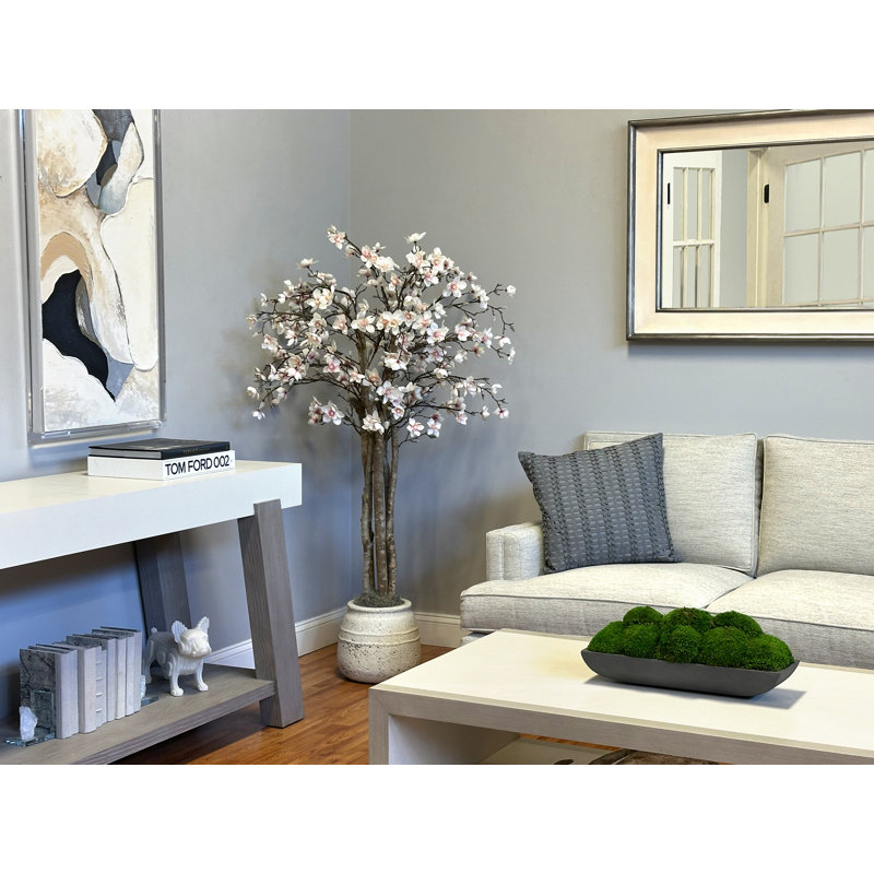 Magnolia Tree in Stone Pot