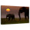 Brampt Grazing Elephant Family