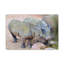 Wall Art on Canvas-418502259