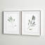Simple sauge - ensemble de 2 reproductions d'art encadrées-1578471018-1541205129-1578471023
