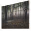 " Dark Spooky Misty Wild Forest "-35062281-35062296