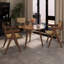 Ensemble de fauteuils d'appoint Mid-Century pour salle à manger et espaces de vie en rotin de bois d'hévéa brun