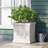 MGO PLANTER