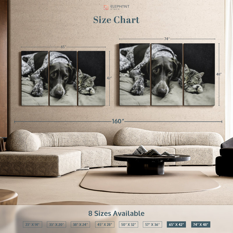 «Dog and Cat Friends» sur toile, H 48 po x l 74 po