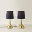 Akaysha Metal Table Lamp-1302304457