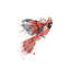 «Cardinal» par Lisa Whitehouse - impression d'art graphique-52544293-52544292-52544300