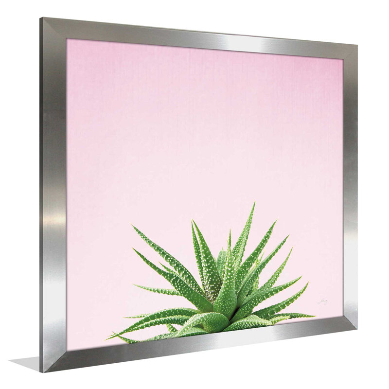 Photographie sur toile encadrée succulent simplicité, H 21,5 po x l 21,5 po x P 0,75 po, Encadrement argenté