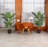 Adcock 2 - Piece Artificial Palm Tree in Pot Set, Faux Plant-753541837