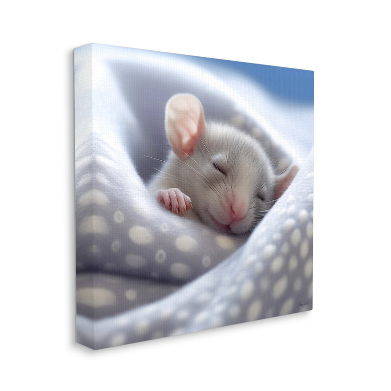 " Soft Sleeping Mouse " by Roozbeh, 30" H x 30" W x 1.5" D