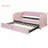 Velvet Upholstered Daybed with Pop Up Trundle, Perfect for Small Spaces and Guest Rooms, Combining Comfort and Versatility-159338189