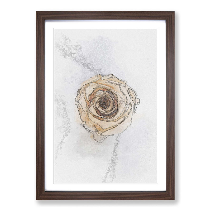 Pale Yellow Rose in Abstract - Picture Frame Drawing Print, 36cm H x 27cm W x 2cm D, Walnut Framed