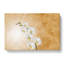 White Orchid Flowers - Wrapped Canvas Print-56643694