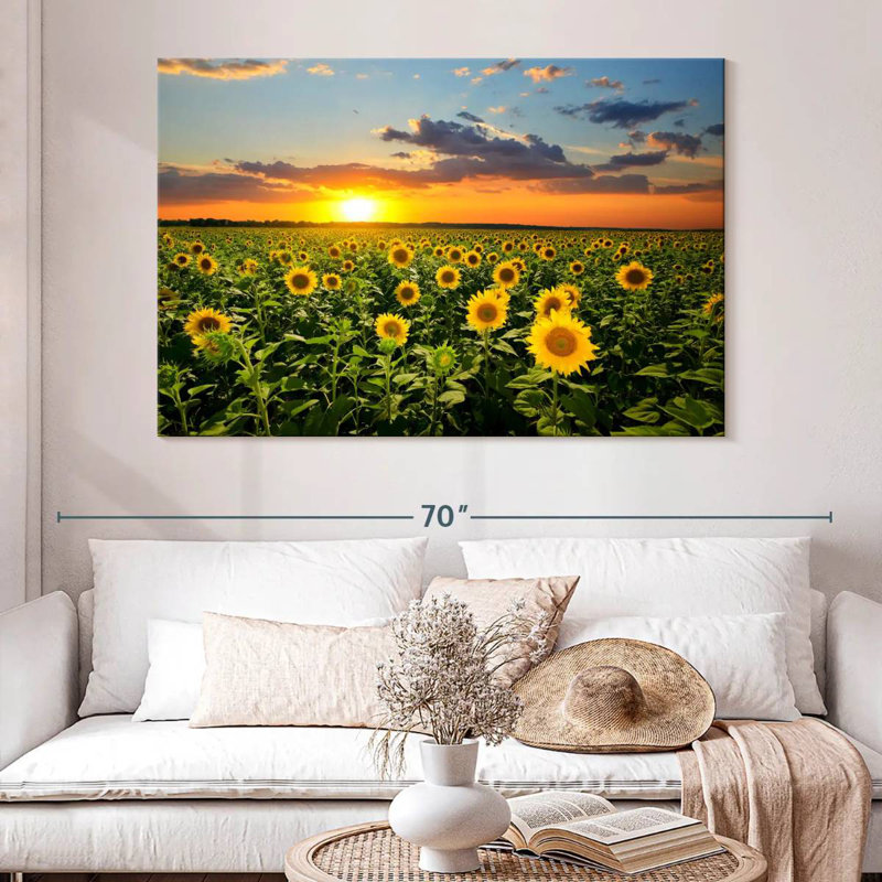 Tournesols en fleurs d'Alvord