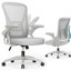 Ergonomic Mesh Office Chair-2035712604
