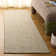 Damian Flat Weave Cotton Solid Color Rug