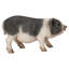 Figurine cochon