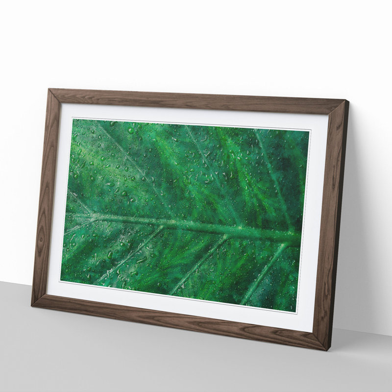 Green Leaf Pattern - Framed Print, 36cm H x 48cm W x 2cm D, Walnut Framed