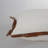 Cotton/Faux Leather-109510554-109510556