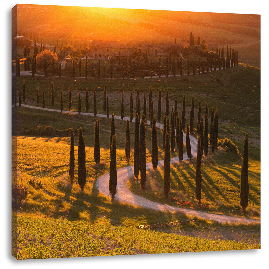 Leinwandbild Straße in der Toskana im Sonnenuntergang