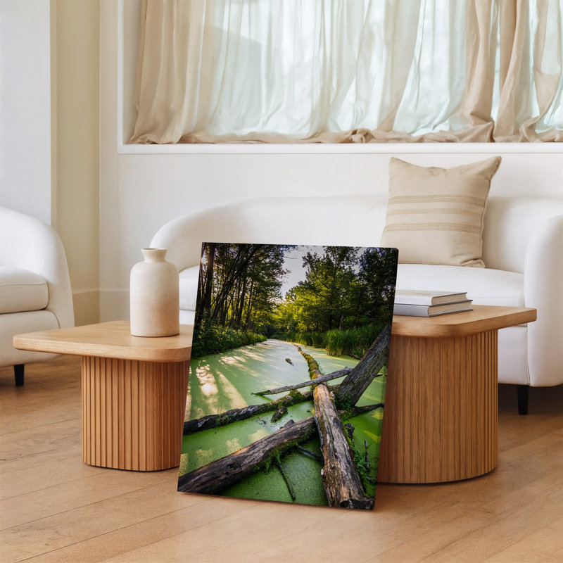Toile «A Tranquil Swamp Scene Captured In Soft Light Diff diffusion pendant Wall Art The Golden Hour mettant en vedette une voie d'eau sereine, art mural»