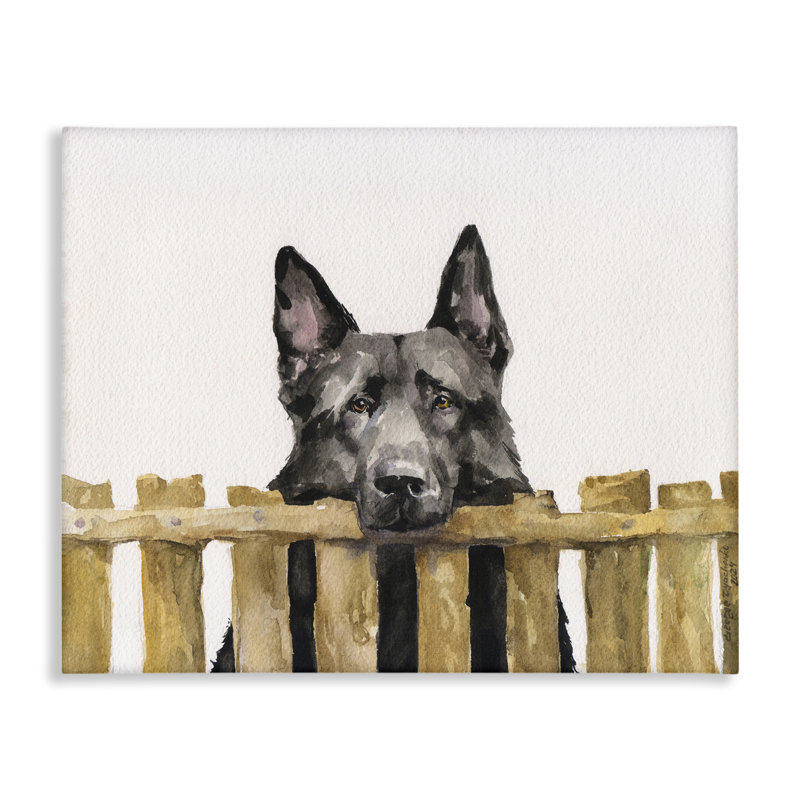 «Black German Shepherd» par George Dyachenko, H 16 po x l 20 po