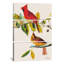 "cardinal" par john james audubon, impression sur toile-813465307