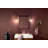 9.5" 1-Light Wall Sconce with Clear Glass-108202076