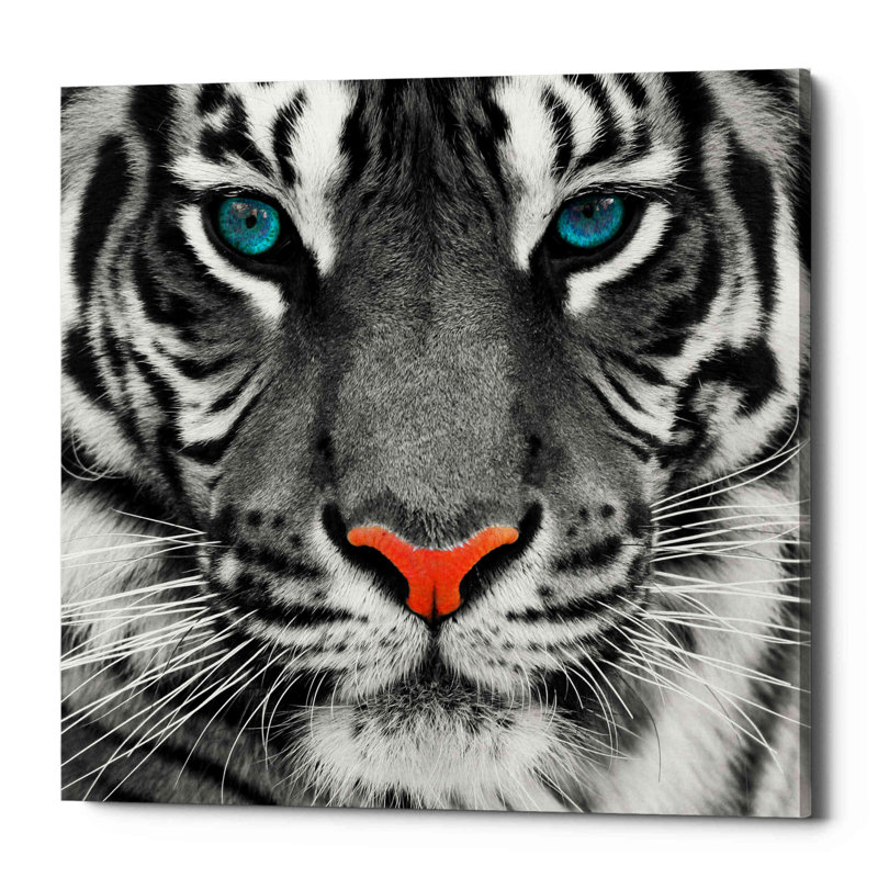 «Thrill of the Tiger», art mural sur toile, H 18 po x l 18 po x P 0,75 po