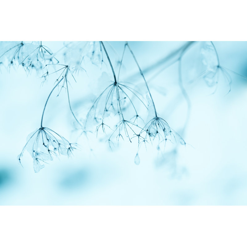 Wildflowers by Jasmina007 - No Frame Print on Canvas, 61cm H x 91cm W